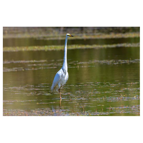 PHOTO84, CLUB, 84 , LUBERON